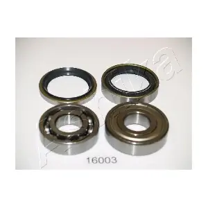 ASHIKA 44-16003