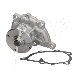 60241 SPIDAN