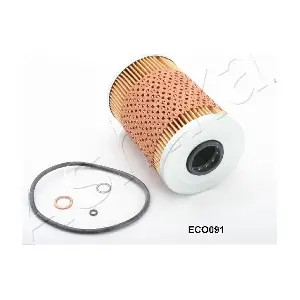 ASHIKA 10ECO091