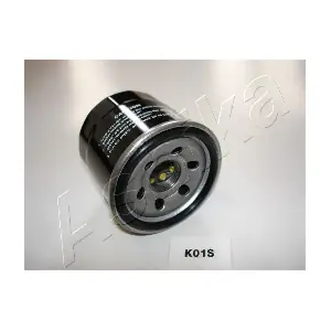 ASHIKA 10-K0-001