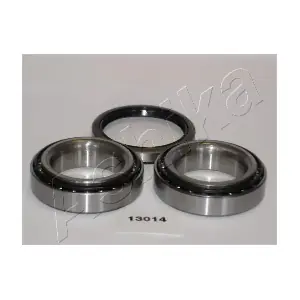 44-13014 ASHIKA