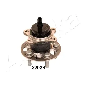 44-22024 ASHIKA