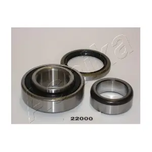 ASHIKA 44-22000