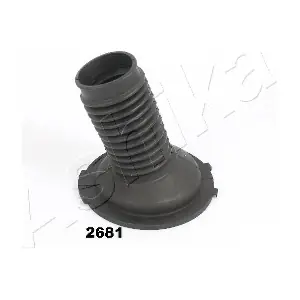 GOM-2681 ASHIKA