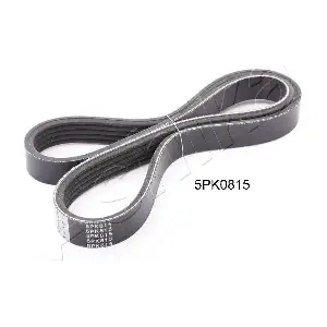 112-5PK815 ASHIKA