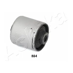 GOM-884 ASHIKA