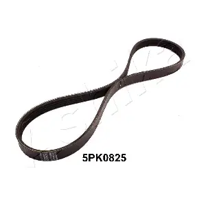 ASHIKA 112-5PK0825