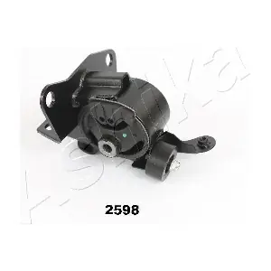 GOM-2598 ASHIKA