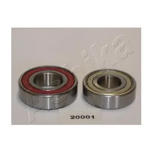 44-20001 ASHIKA