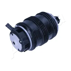 MA-AS391 ASHIKA