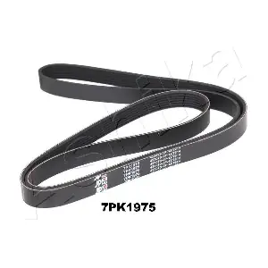 ASHIKA 112-7PK1975