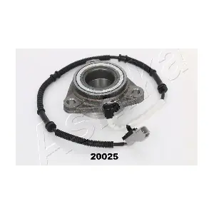 44-20025 ASHIKA