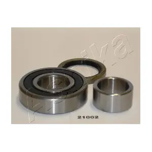 44-21002 ASHIKA