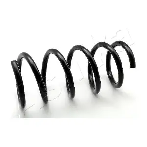 ZCA5309A ASHIKA