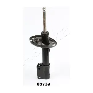 MA-00739 ASHIKA