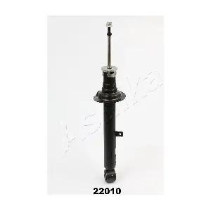 MA-22010 ASHIKA