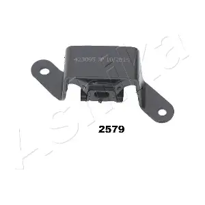 GOM-2579 ASHIKA