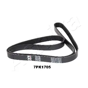 ASHIKA 1127PK1705