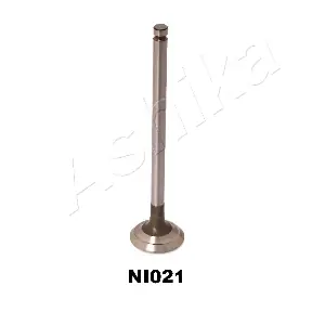 15NI021 ASHIKA
