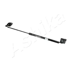 ZSA80001 ASHIKA