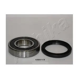 ASHIKA 44-18013