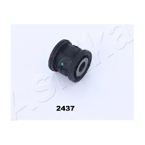 GOM-2437 ASHIKA