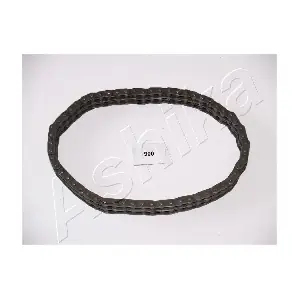 4109900 ASHIKA