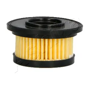 10-GAS24S ASHIKA