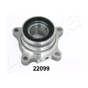 44-22099 ASHIKA