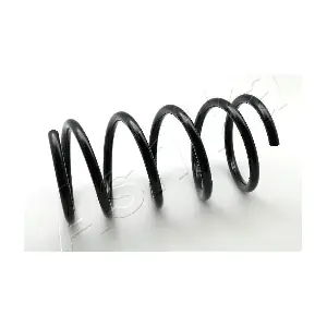 ZCA6994A ASHIKA