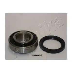 44-24009 ASHIKA
