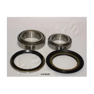 ASHIKA 44-10305