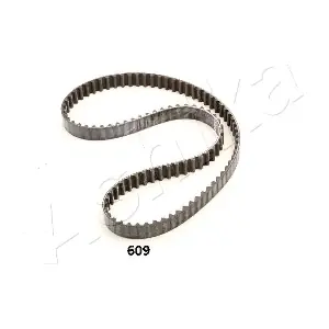 40609 ASHIKA