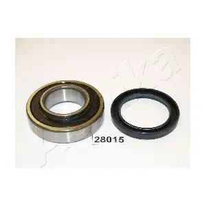 44-28015 ASHIKA