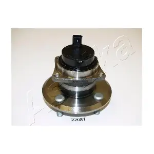 44-22081 ASHIKA