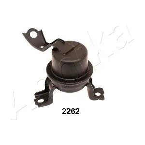 GOM-2262 ASHIKA