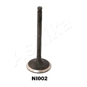15NI002 ASHIKA