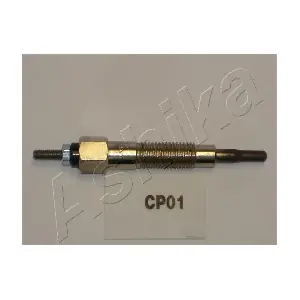 CP01 ASHIKA