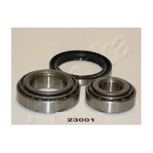 ASHIKA 44-23001
