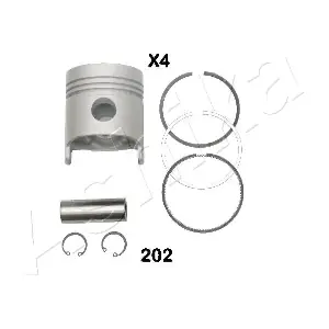 39-202 ASHIKA