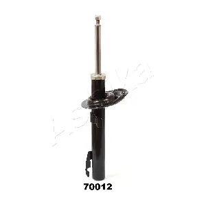 MA-70012 ASHIKA