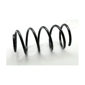 ZCA3013C ASHIKA