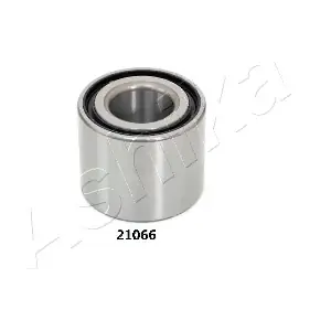 44-21066 ASHIKA