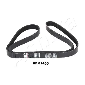 ASHIKA 1126PK1455