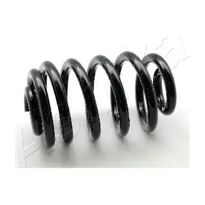 ASHIKA ZCA6750X
