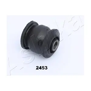 GOM-2453 ASHIKA