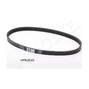 ASHIKA 112-4PK645
