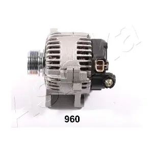 002-M960 ASHIKA