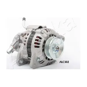 002-C302 ASHIKA