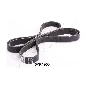112-6PK1960 ASHIKA